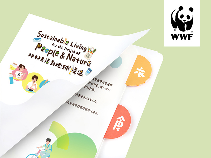 Booklet Design Leaflet Design Branding Design Graphic Design